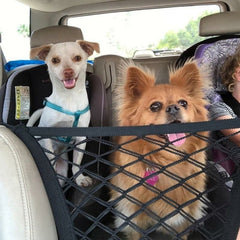 High Quality Premium Pet Car Net Petition (Copy)